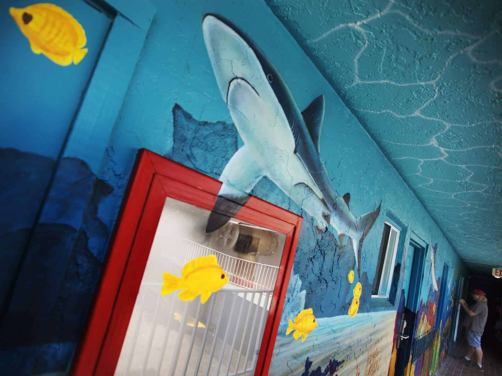 Lani Kai Island Resort | Mural Art: Killer Shark | Fort Myers Beach