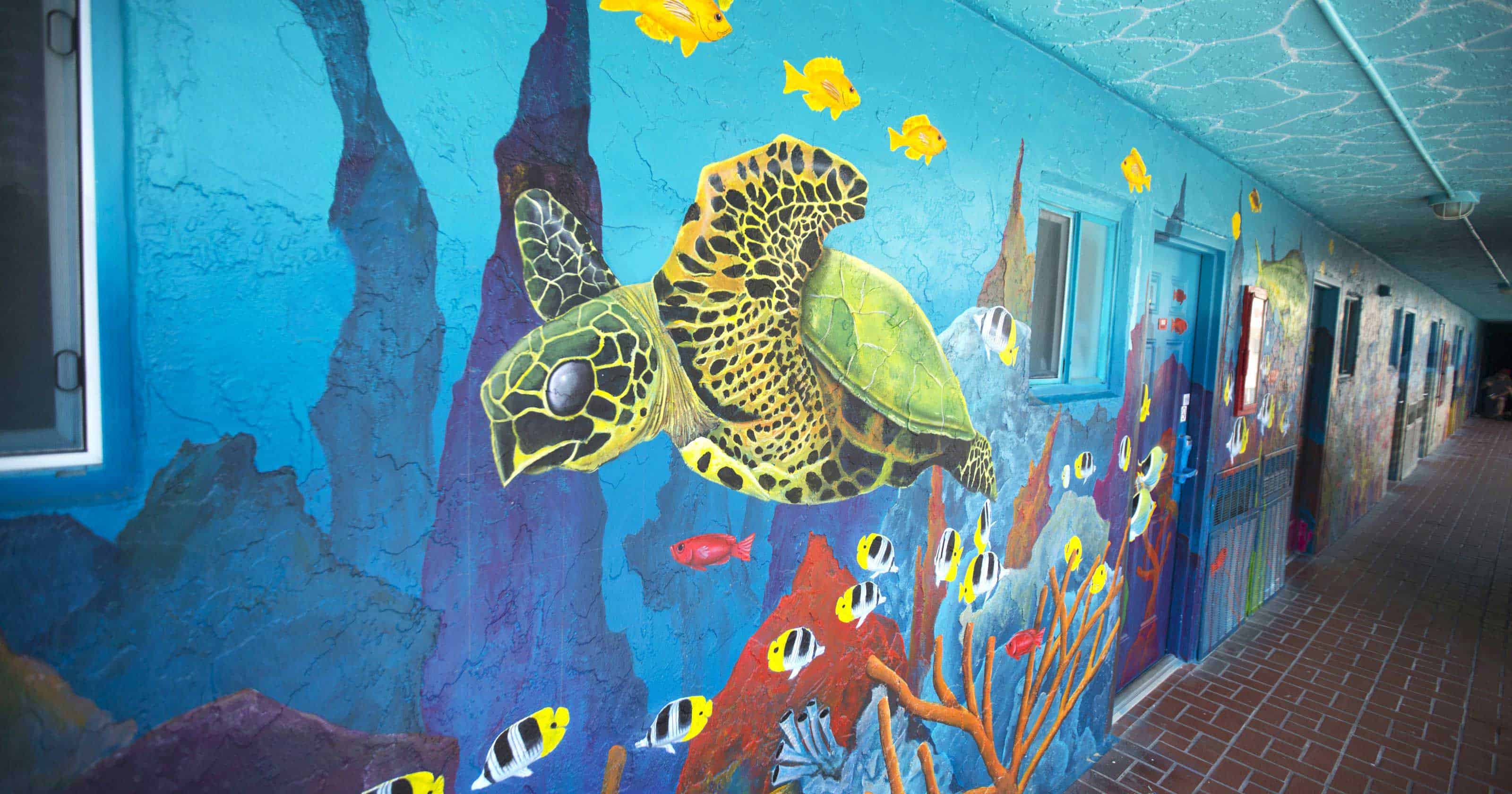 Lani Kai Island Resort | Mural Art: Sea Turtle | Fort Myers Beach